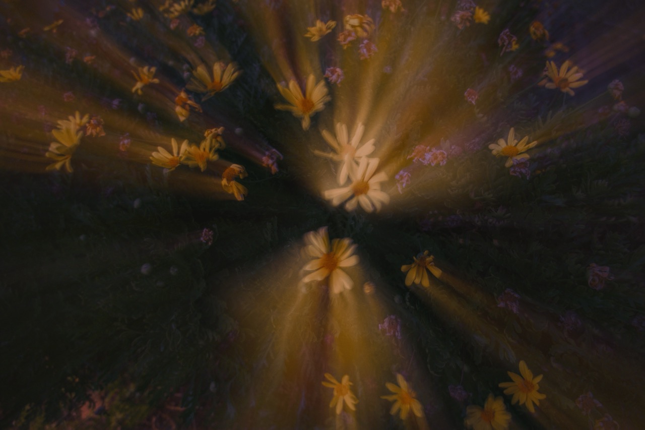 meadow